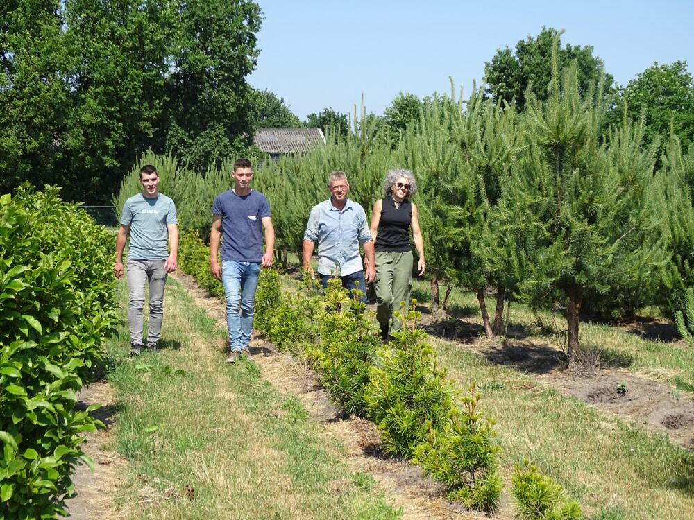 Royal Hedge Team